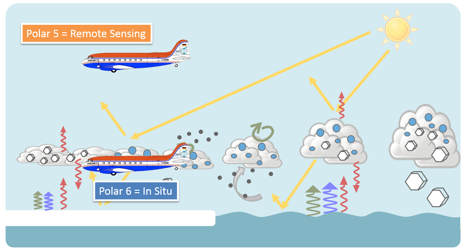 Schematic of the ACLOUD flight strategy