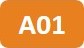 Icon of project A01