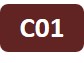 Icon of project C01