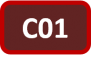 Icon of project C01 with red box around