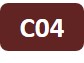 Icon of project C04