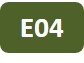 Icon of project E04
