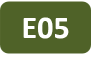 Icon of project E05