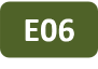 Icon of project E06