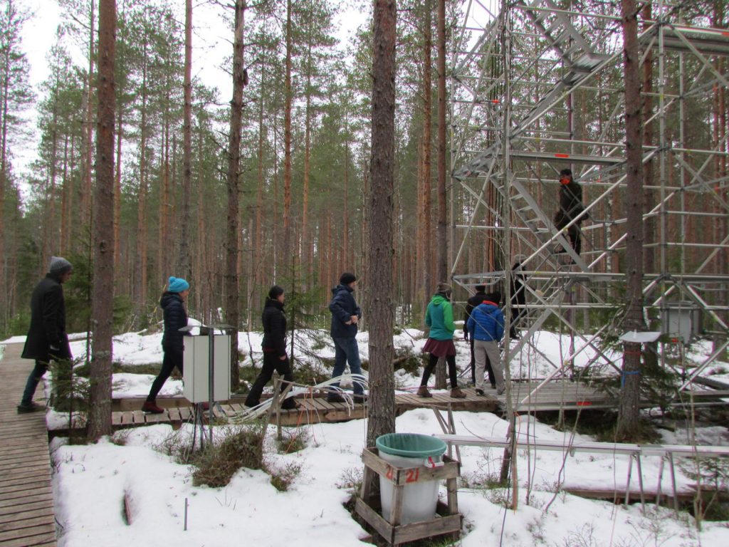 People walking through a forest with measurement devices set up