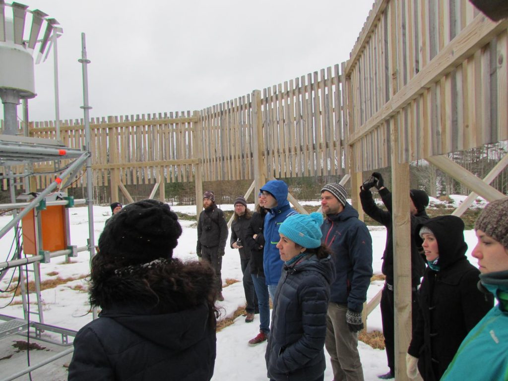 A croud of people standing inside a wooden fenced area