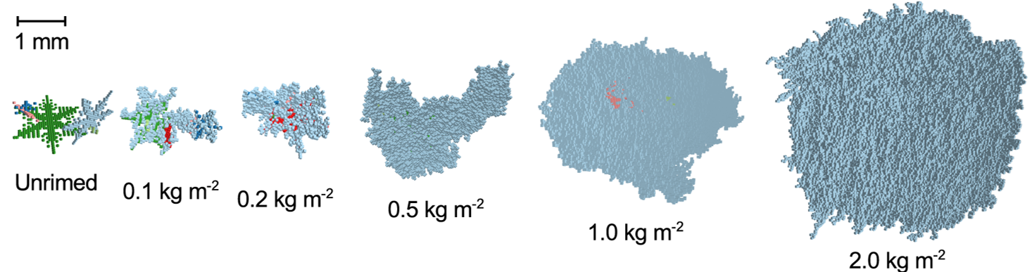 Schematic of modelled snow particles from small to large
