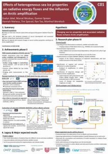 C01 project poster phase 3