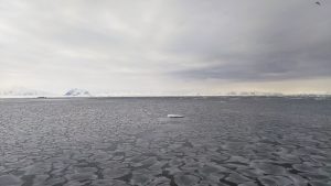 Frozen ocean with pancake ice and low hanging clouds