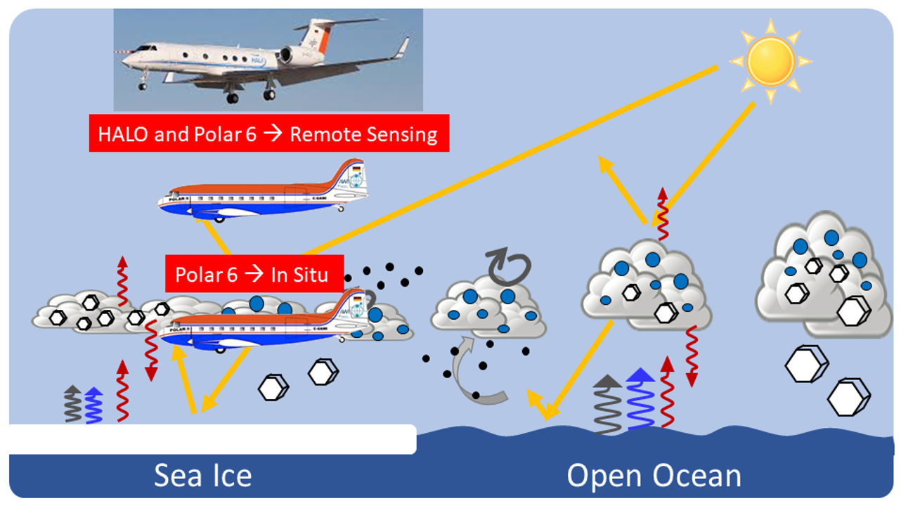 Sketch of the observation strategy including the HALO aircraft and the two Polar aircraft