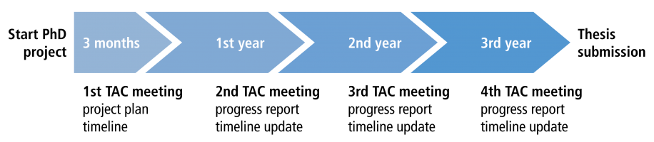 Scheme of the PhD TAC meeting intervalls